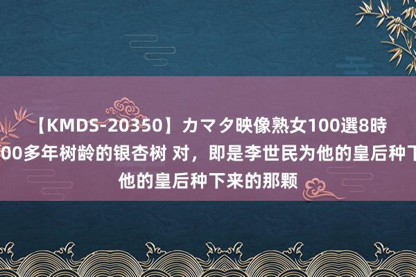 【KMDS-20350】カマタ映像熟女100選8時間 高出1400多年树龄的银杏树 对，即是李世民为他的皇后种下来的那颗