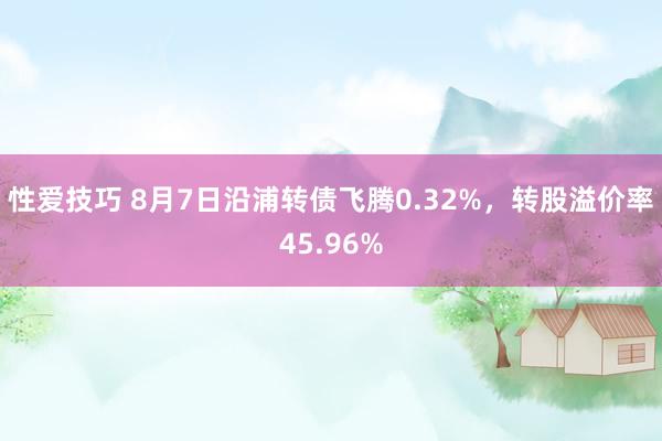 性爱技巧 8月7日沿浦转债飞腾0.32%，转股溢价率45.96%