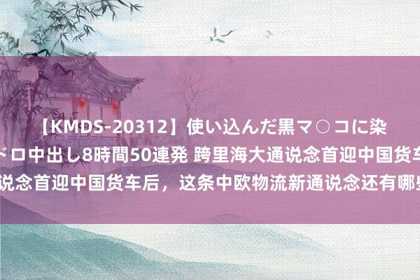 【KMDS-20312】使い込んだ黒マ○コに染み渡る息子の精液ドロドロ中出し8時間50連発 跨里海大通说念首迎中国货车后，这条中欧物流新通说念还有哪些提高后劲？