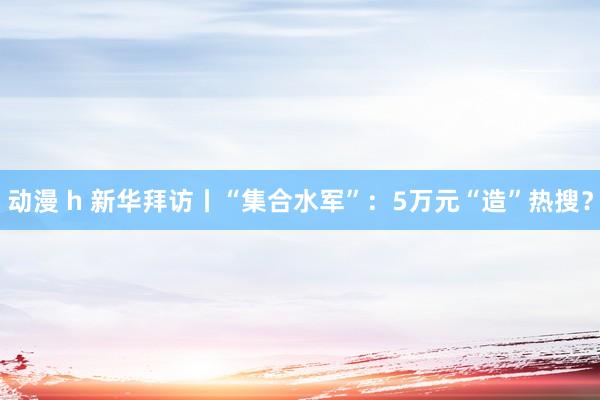 动漫 h 新华拜访丨“集合水军”：5万元“造”热搜？