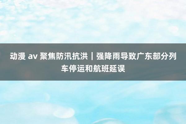 动漫 av 聚焦防汛抗洪｜强降雨导致广东部分列车停运和航班延误