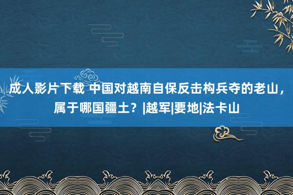 成人影片下载 中国对越南自保反击构兵夺的老山，属于哪国疆土？|越军|要地|法卡山