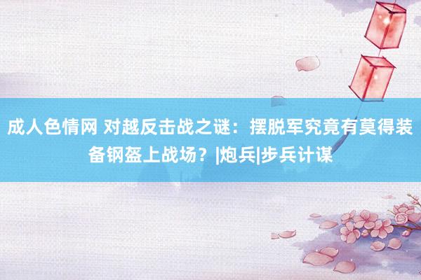 成人色情网 对越反击战之谜：摆脱军究竟有莫得装备钢盔上战场？|炮兵|步兵计谋