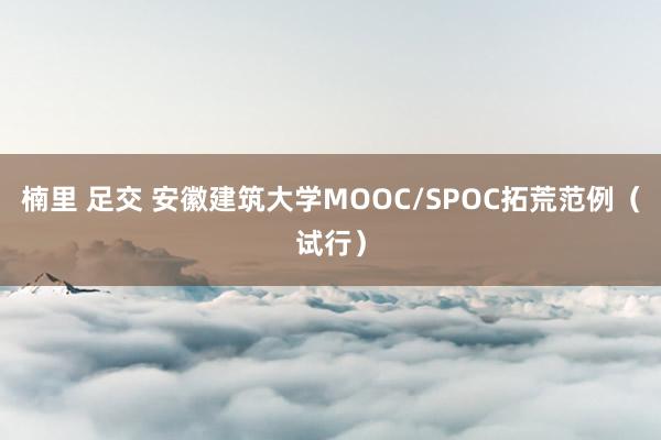 楠里 足交 安徽建筑大学MOOC/SPOC拓荒范例（试行）