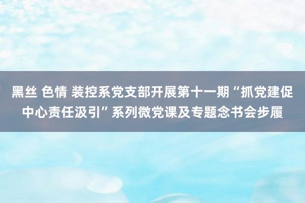 黑丝 色情 装控系党支部开展第十一期“抓党建促中心责任汲引”系列微党课及专题念书会步履