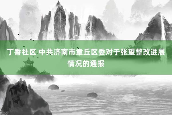 丁香社区 中共济南市章丘区委对于张望整改进展情况的通报