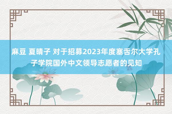 麻豆 夏晴子 对于招募2023年度塞舌尔大学孔子学院国外中文领导志愿者的见知